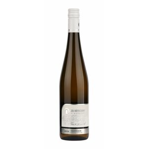 ZD Němčičky Sauvignon Moravské zemské víno 0,75l 11,5%